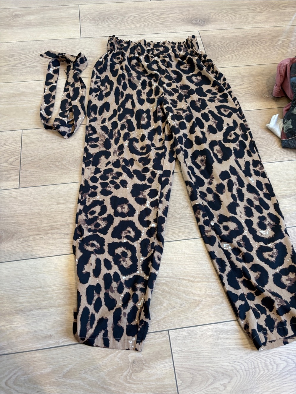 Dressy pants